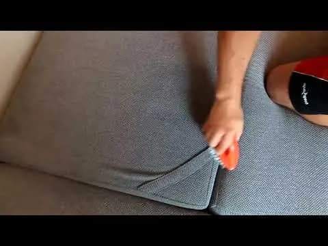 Jak skutecznie usunąć mocz psa z kanapy i pozbyć się uporczywego zapachu